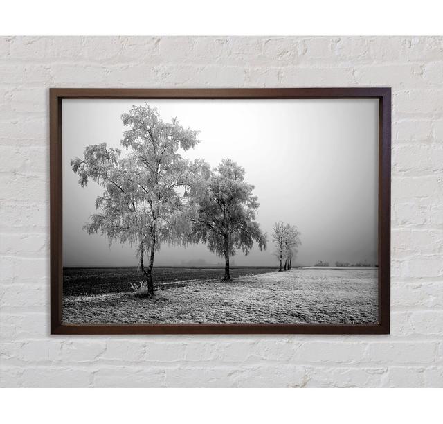 Winter Parade B N W Framed Print Bright Star Size: 84.1cm H x 118.9cm W on Productcaster.