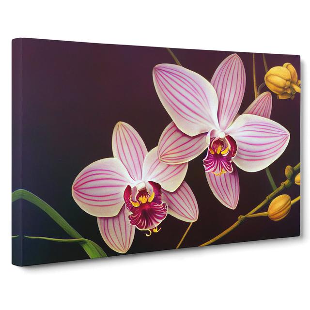 XXX-H1022-WF-4874X Iconic Orchid Flowers - Wrapped Canvas Print 17 Stories Size: 40cm H x 60cm W x 3cm D on Productcaster.