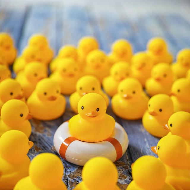 Rubber Ducks Gathering Around A Duck On A Life Ring. by Enviromantic - No Frame Print on Canvas 17 Stories Size: 76cm H x 76cm W on Productcaster.