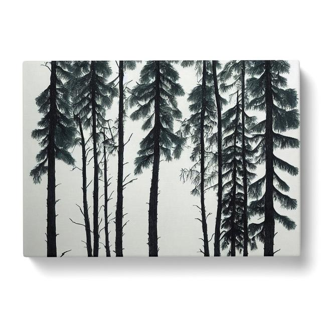 Great Pine Tree Forest - Wrapped Canvas Print Alpen Home Size: 40cm H x 60cm W x 3cm D on Productcaster.