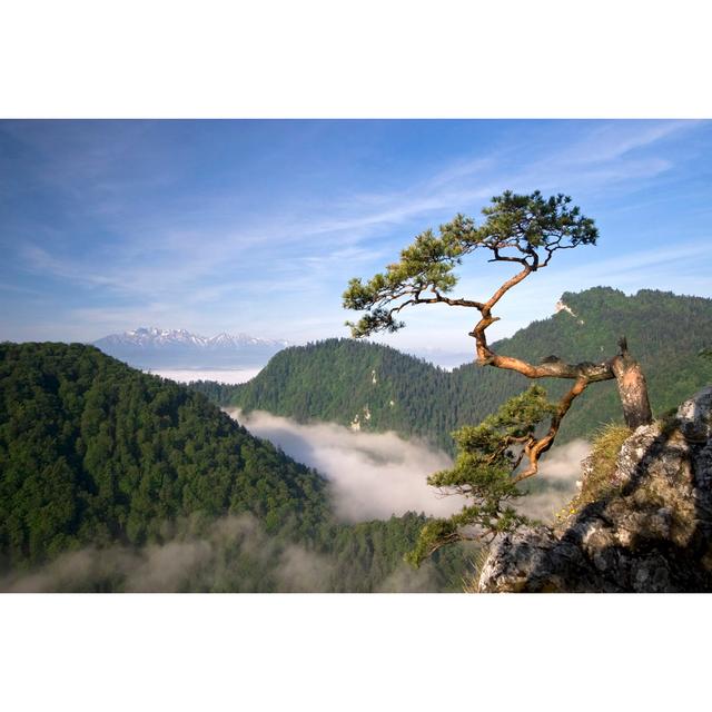 ﻿Sokolica Peak, Pieniny, Poland by Wiktorbubniak - Unframed Photograph on Canvas Alpen Home Size: 81cm H x 122cm W x 3.8cm D on Productcaster.