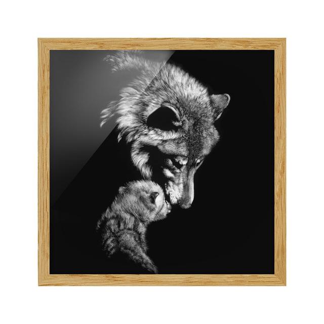 Wolf Before Black - Picture Frame Photograph Union Rustic Frame Option: Brown Framed, Size: 70cm H x 70cm W x 2cm D on Productcaster.