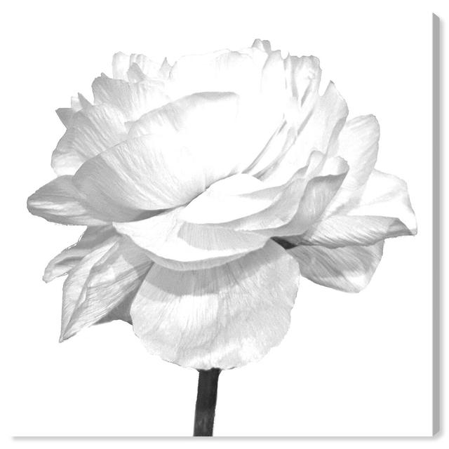 Blooming Flower Blanc Due - Wrapped Canvas Print Oliver Gal Size: 50.8 cm H x 50.8 cm W on Productcaster.