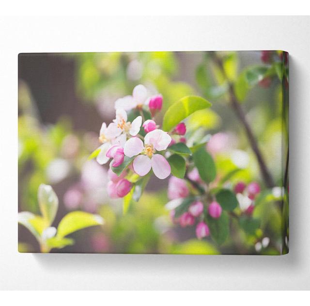 Druck auf Leinwand ohne Rahmen ModernMoments Größe: 81 cm H x 121,9 cm B on Productcaster.