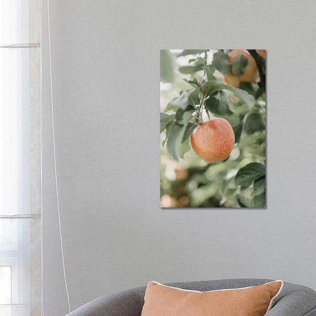 Apple In The Orchard by Chelsea Victoria - Wrapped Canvas Gallery-Wrapped Canvas Giclée Latitude Run Size: 66.04cm H x 45.72cm W x 1.9cm D on Productcaster.