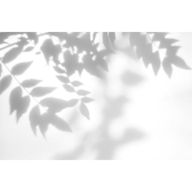 Leaves Shadow - Wrapped Canvas Photograph Ebern Designs Size: 81cm H x 122cm W x 3.8cm D on Productcaster.