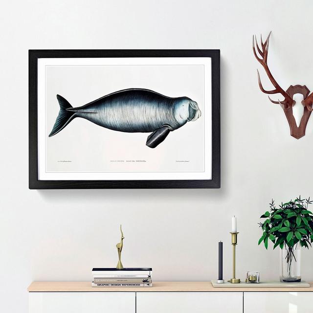 Indian Dugong by John Edward Gray - Picture Frame Painting Print East Urban Home Frame Option: Black Framed, Size: 27cm H x 36cm W x 2cm D on Productcaster.