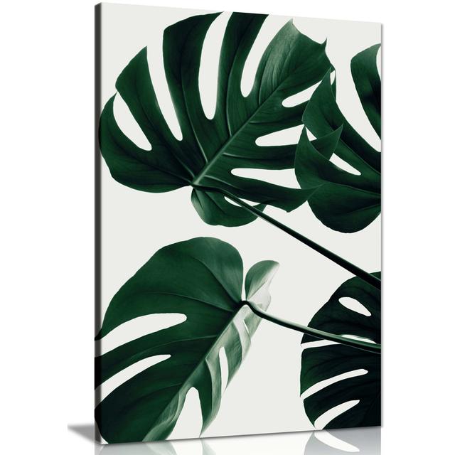 Monstera Natural Plant Leaves - Wrapped Canvas Photograph Panther Print Size: 91cm H x 61cm W on Productcaster.