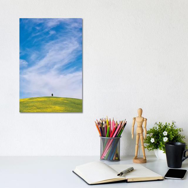 Italy, San Quirico D'Orcia. Cypress Tree On Hill. by Jaynes Gallery - Wrapped Canvas Print Latitude Run Size: 101.6cm H x 66.04cm W x 3.81cm D on Productcaster.