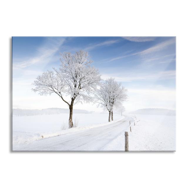 Tree In The Snow - No Frame Print on Glass Brayden Studio Size: 70cm H x 100cm W x 0.4cm D on Productcaster.