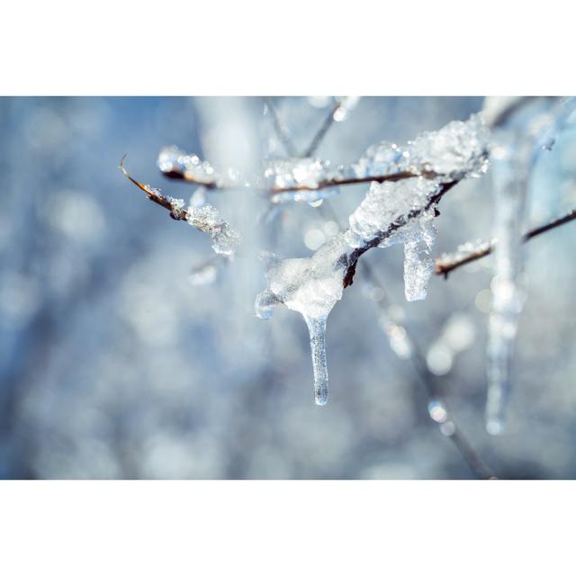 Icicles On Branches Of A Tree by Pretti - Wrapped Canvas Print 17 Stories Size: 20cm H x 30cm W on Productcaster.