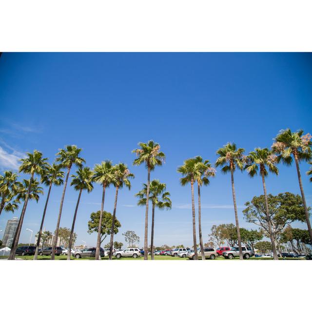 Palm Trees - Wrapped Canvas Photograph Bay Isle Home Size: 20cm H x 30cm W x 3.8cm D on Productcaster.