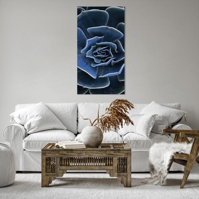 Blue Cactus Flower - Wrapped Canvas Photograph Ebern Designs Size: 120cm H x 65cm W on Productcaster.