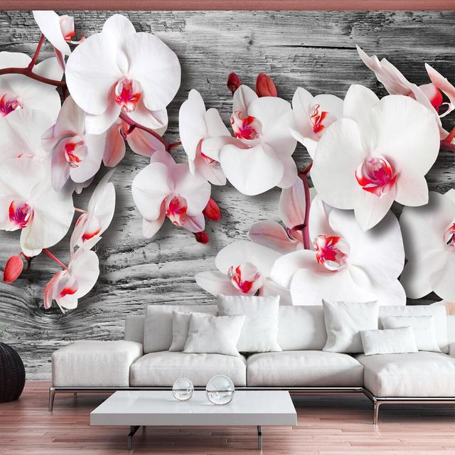 Callous Orchids 2.45m x 350cm Wallpaper East Urban Home Size: 400 cm x 280 cm on Productcaster.