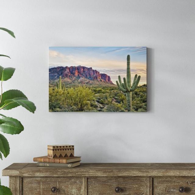 Cacti View II by David Drost - Wrapped Canvas Photograph Print Blue Elephant Size: 51cm H x 76cm W on Productcaster.