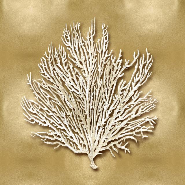 Sea Fan On Gold I House of Hampton Size: 30cm H x 30cm W on Productcaster.