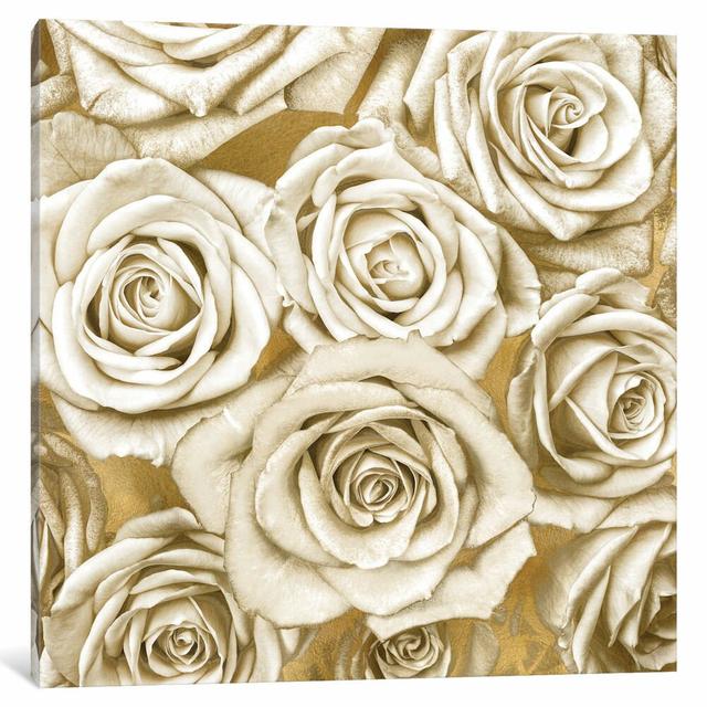 Ivory Roses On Gold by Kate Bennett - Wrapped Canvas Print East Urban Home Size: 66.04cm H x 66.04cm W x 3.81cm D on Productcaster.