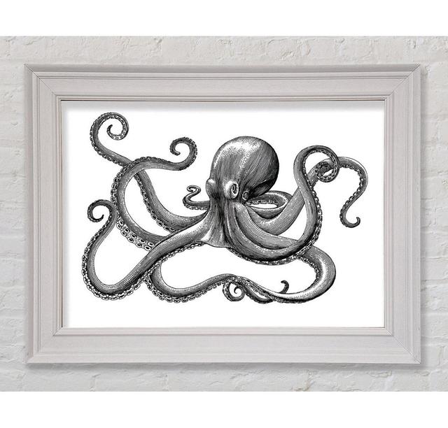 Octopus Illustration Framed Print Highland Dunes Size: 42cm H x 59.7cm W on Productcaster.