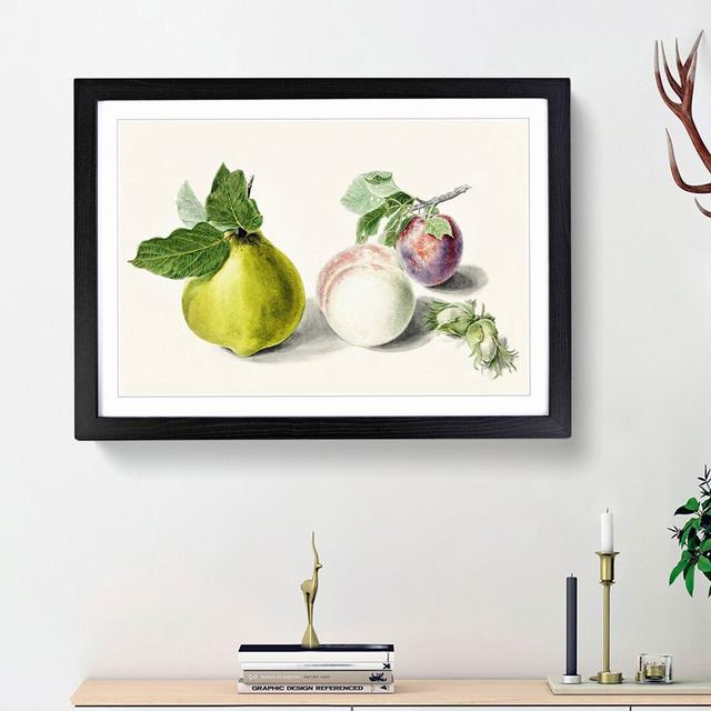 Pear & Plum by E.G. Van De Kasteele - Picture Frame Painting Print East Urban Home Size: 27cm H x 36cm W x 2cm D, Frame Option: Black Framed on Productcaster.