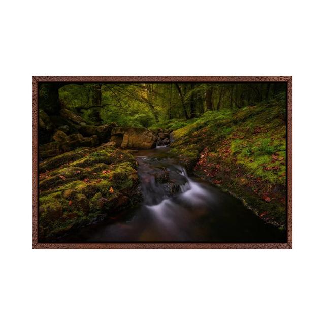 Forest Treasures by Sergio Lanza - Gallery-Wrapped Canvas Giclée on Canvas Union Rustic Size: 45.72cm H x 66.04cm W x 3.81cm D, Format: Brown Framed on Productcaster.