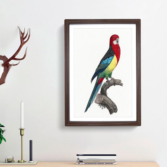 Eastern Rosella Parrot by F. Levaillant - Picture Frame Art Print East Urban Home Size: 65cm H x 48cm W x 2cm D, Frame Option: Walnut Framed on Productcaster.