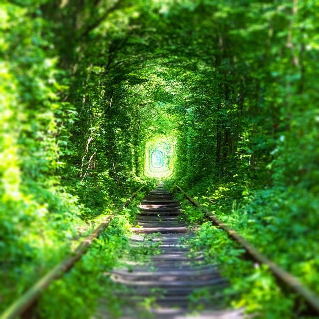 Railway Track in Forest by Scanrail - Wrapped Canvas Photograph 17 Stories Size: 30cm H x 46cm W on Productcaster.