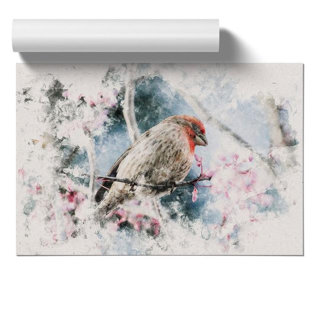 A House Finch Bird - Unframed Graphic Art East Urban Home Size: 21cm H x 30cm W x 0.1cm D on Productcaster.