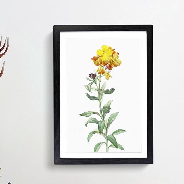 Wallflowers in Yellow by Pierre-Joseph Redoute - Picture Frame Painting Print East Urban Home Frame Option: Black Framed, Size: 36cm H x 27cm W x 2cm on Productcaster.