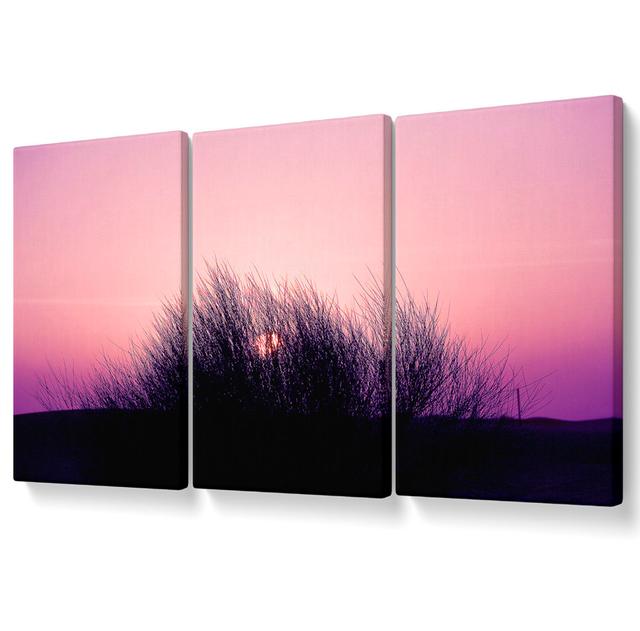 The Sun Reeds Pink - 3 Piece Wrapped Canvas Graphic Art Ebern Designs Size: 81.3cm H x 163cm W on Productcaster.