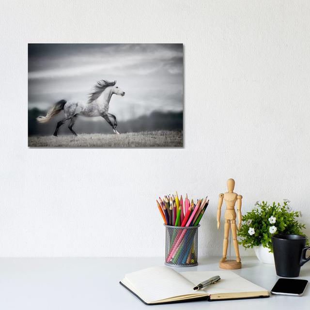 Wind Blown Mane II by PHBurchett - Wrapped Canvas Print Natur Pur Size: 20.32cm H x 30.48cm W x 1.91cm D on Productcaster.