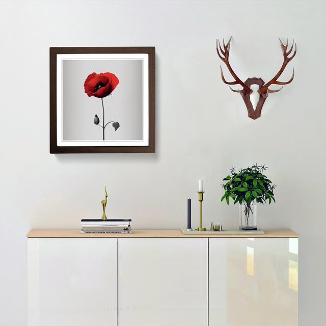 Poppy Flower Minimalism - Single Picture Frame Print on Wood Marlow Home Co. Frame Colour: Walnut on Productcaster.