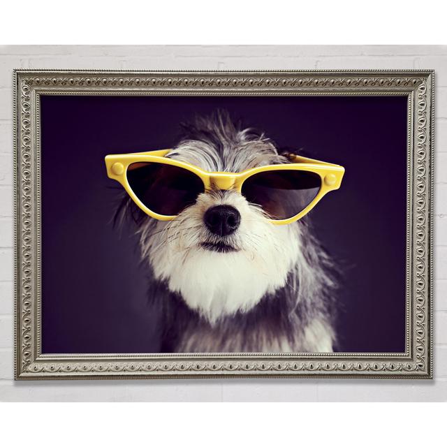 Sunglasses Dog Pooch Framed Print Wall Art Latitude Run Size: 42cm H x 59.7cm W x 3cm D, Format: Silver Framed Paper on Productcaster.