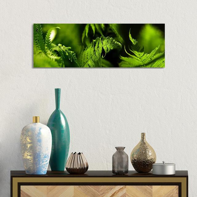 Fern - Wrapped Canvas Panoramic Print Brayden Studio Size: 30.48cm H x 91.44cm W x 3.81cm D on Productcaster.