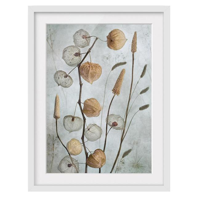 Lampion Fruits in Autumn - Picture Frame Graphic Art Rosalind Wheeler Frame Option: White Framed, Size: 100cm H x 70cm W x 2cm D on Productcaster.