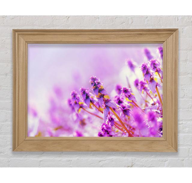 Lilac Flowers In The Mist - Single Picture Frame Art Prints Bright Star Size: 42cm H x 59.7cm W x 8cm D on Productcaster.