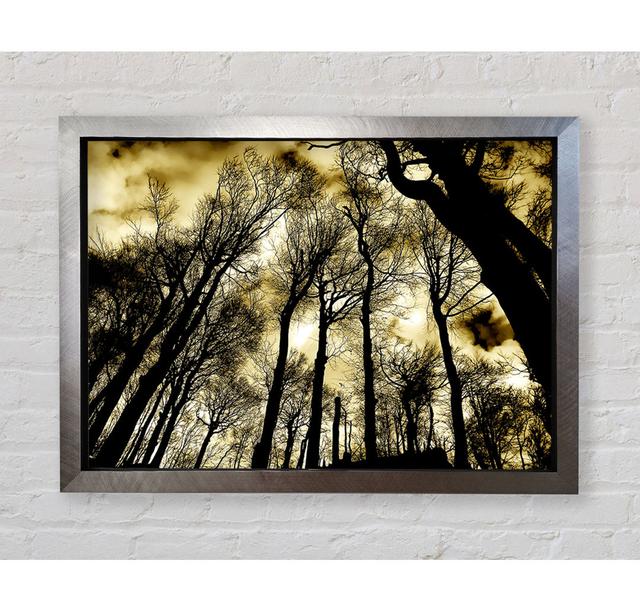 Woodland Skies - Single Picture Frame Art Prints Bright Star Size: 84.1cm H x 118.9cm W x 3.4cm D on Productcaster.