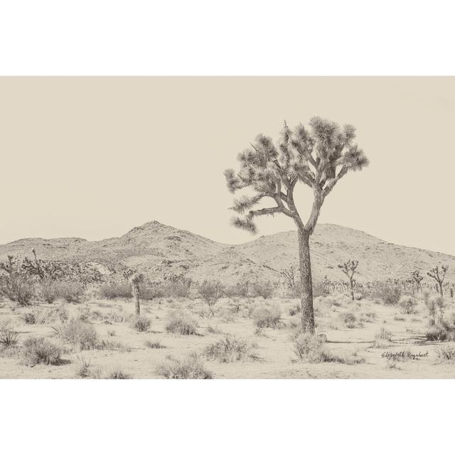 Joshua Tree I Neutral by Elizabeth Urquhart - Wrapped Canvas Photograph Alpen Home Size: 51cm H x 76cm W on Productcaster.