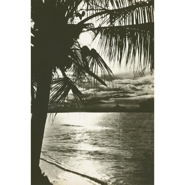 Palm Beach II by Wild Apple Portfolio - Wrapped Canvas Photograph 17 Stories Size: 20cm H x 30cm W x 3.8cm D on Productcaster.