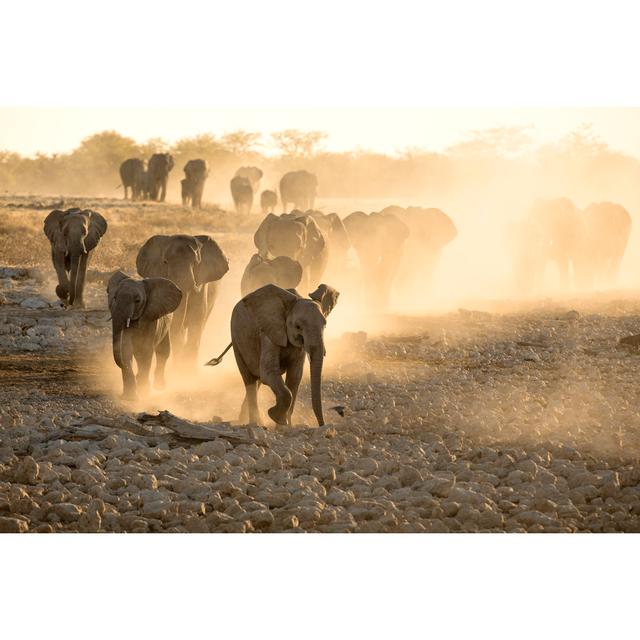 Elephants At Okaukuejo Water Hole At Sunset With Dust by 2630ben - Wrapped Canvas Print Ebern Designs Size: 61cm H x 91cm W x 3.8cm D on Productcaster.