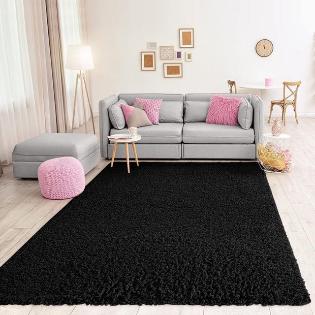 Liucijonas Black Indoor/Outdoor Rug Latitude Run Rug Size: Rectangle 80 x 150cm on Productcaster.