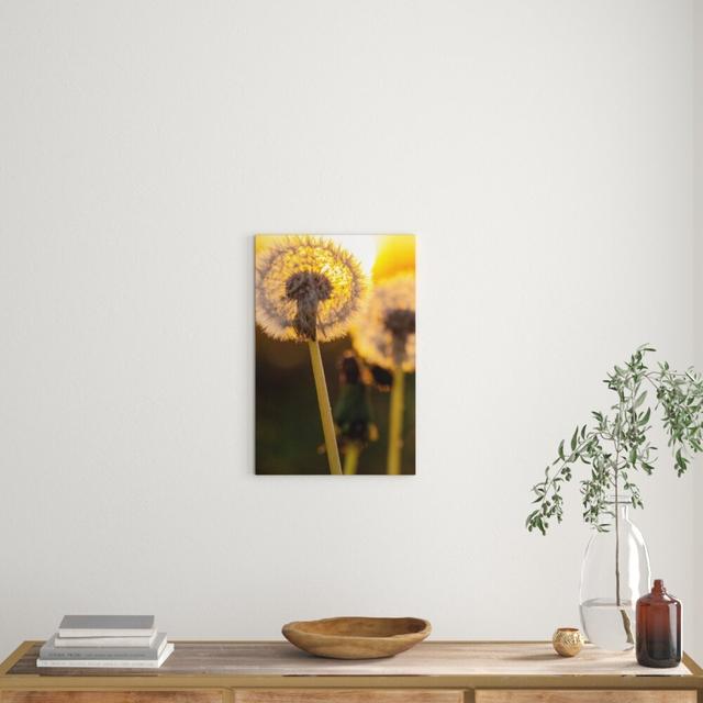 Leinwandbild Pusteblume, Fotodruck East Urban Home Größe: 80 cm H x 60 cm B on Productcaster.