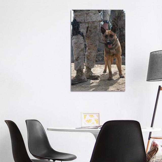 A Belgium Malonois Military Working Dog Stands By His Handler by Stocktrek Images - Wrapped Canvas Print Latitude Run Size: 101.6cm H x 66.04cm W x 3. on Productcaster.