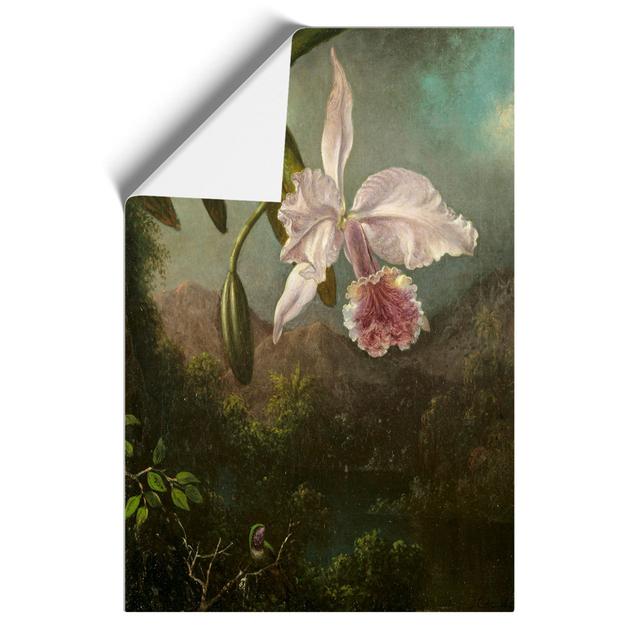 Orchid Blossoms by Martin Johnson Heade - Unframed Painting East Urban Home Size: 30cm H x 21cm W x 0.1cm D on Productcaster.