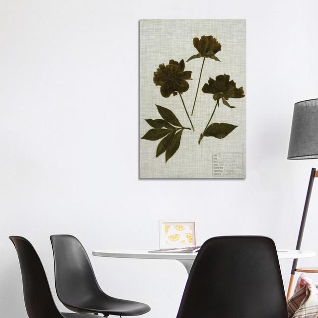 Pressed Leaves On Linen by Vision Studio - Wrapped Canvas Gallery-Wrapped Canvas Giclée Rosalind Wheeler Size: 101.6cm H x 66.04cm W on Productcaster.