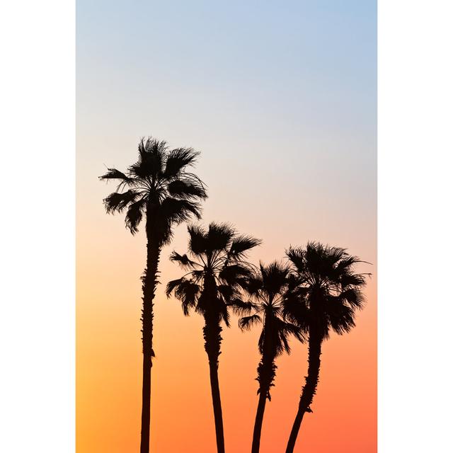 Palm Tree Silhouette - Wrapped Canvas Print 17 Stories Size: 46cm H x 30cm W x 3.8cm D on Productcaster.