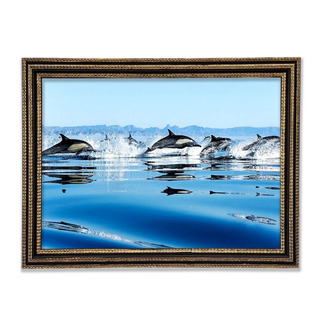 Dolphins In The Sea - Print Highland Dunes Size: 84.1cm H x 118.9cm W x 3cm D on Productcaster.