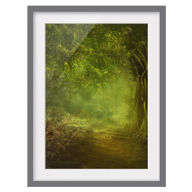 Walk in the Woods - Picture Frame Graphic Art Print on Paper East Urban Home Size: 55 cm H x 40 cm W, Frame Options: Matt grey on Productcaster.