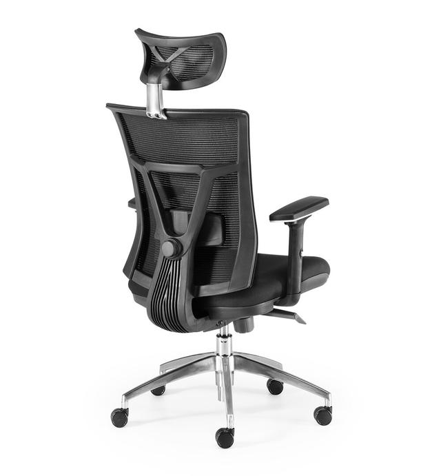 Ankara Ergonomic Mesh Desk Chair Symple Stuff on Productcaster.