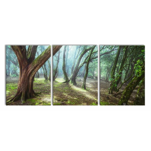 Forest - 3 Piece Wrapped Canvas Photograph Print Set East Urban Home Size: 180 cm H x 80 cm W on Productcaster.