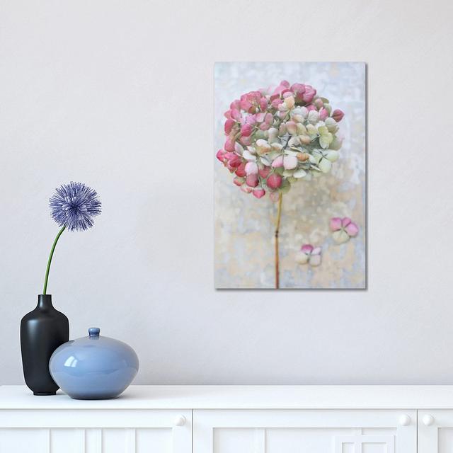 Pastel Dried Hydrangea II by Alyson Fennell - Wrapped Canvas Graphic Art Ebern Designs Size: 45.72cm H x 30.48cm W x 1.91cm D on Productcaster.